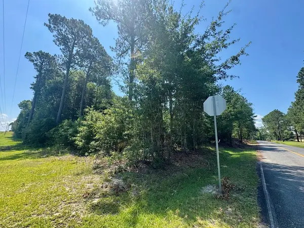 Tract 1 Whiddon Milll Rd, Poulan, GA 31781