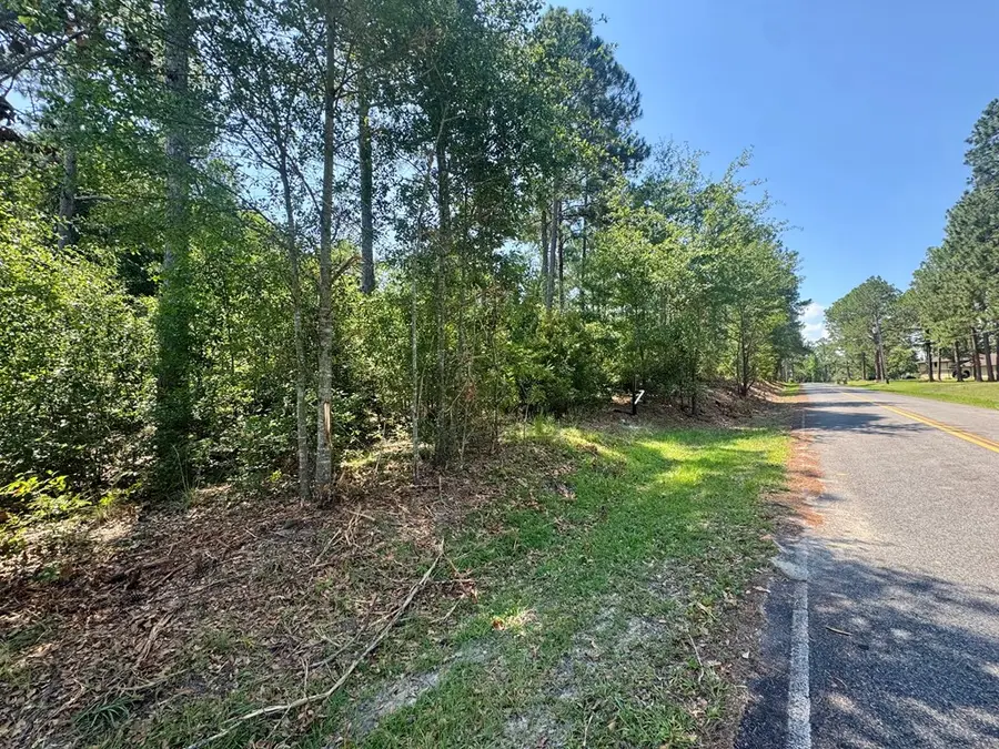 Tract 1 Whiddon Milll Rd, Poulan, GA 31781 - #2