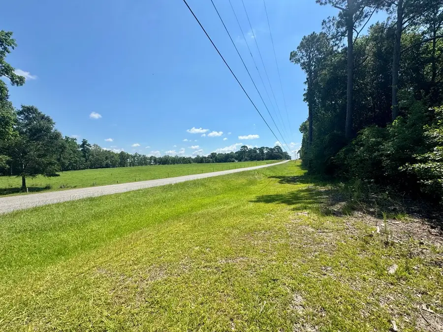 Tract 1 Whiddon Milll Rd, Poulan, GA 31781 - #3