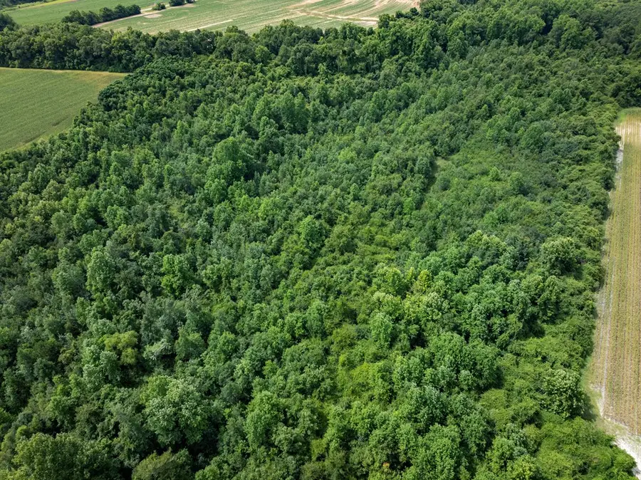 2285 Hwy 313, Sylvester, GA 31791 - #2