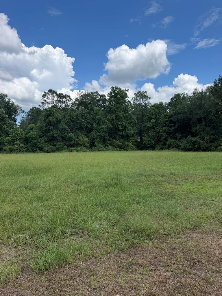 106 Goldenwood Dr, Sylvester, GA 31791 - #1