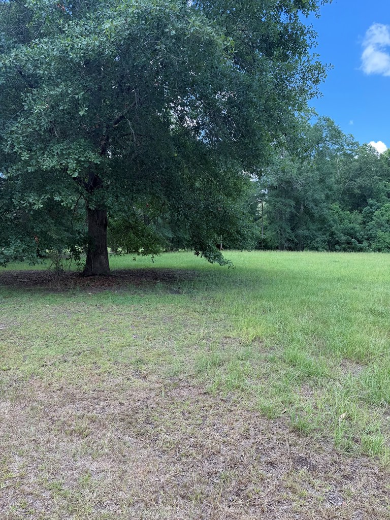 106 Goldenwood Dr, Sylvester, GA 31791 - #3