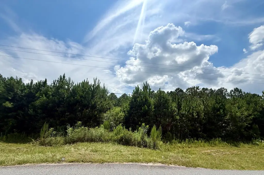 10 Mount Olive Church Rd, Tifton, GA 31794 - #1