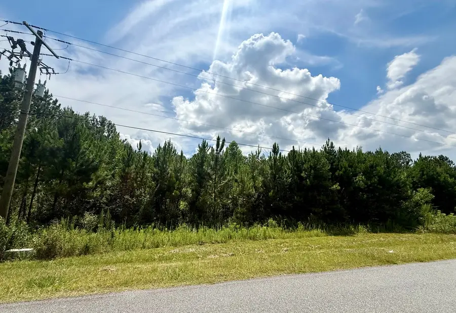 10 Mount Olive Church Rd, Tifton, GA 31794 - #2