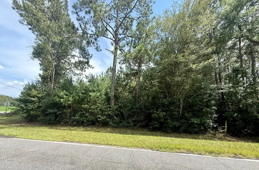 10 Mount Olive Church Rd, Tifton, GA 31794 - #3