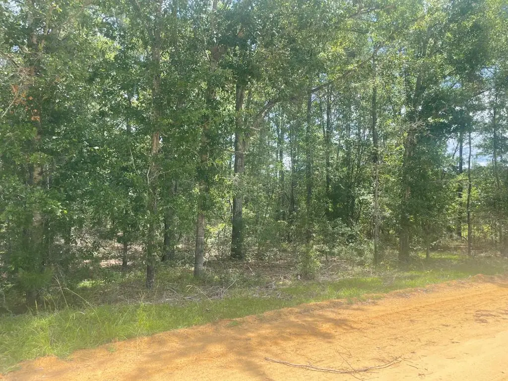 0 Teal Dr, Abbeville, GA 31001 - #1