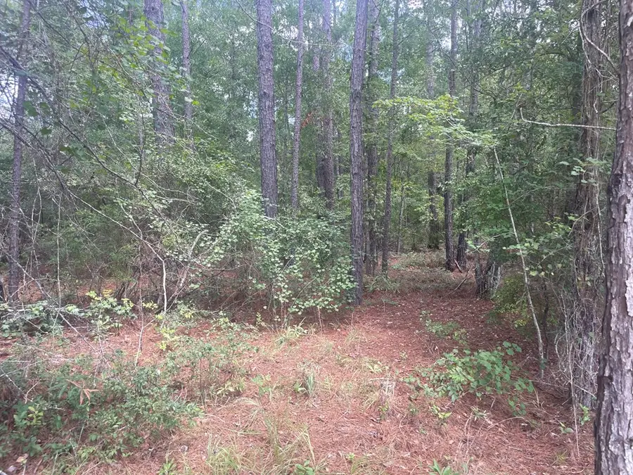 0 Teal Dr, Abbeville, GA 31001 - #2