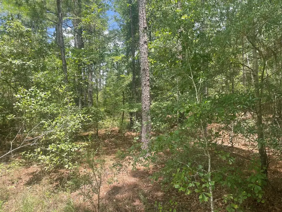 0 Teal Dr, Abbeville, GA 31001 - #3