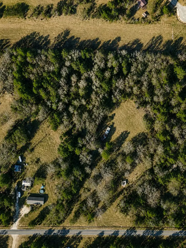 186 Groveland Drive, Sylvester, GA 31791 - #2