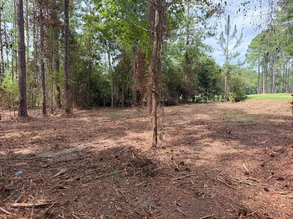 115 Northlake Drive, Sylvester, GA 31791 - #1