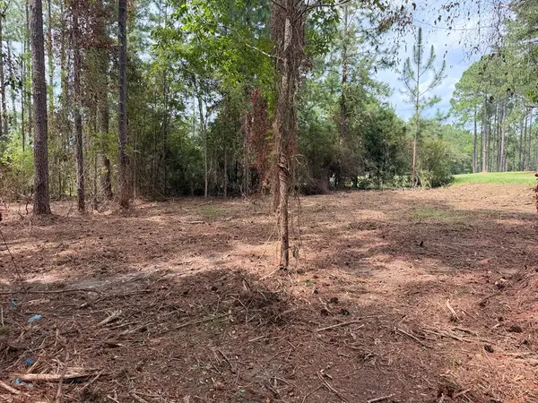115 Northlake Drive, Sylvester, GA 31791