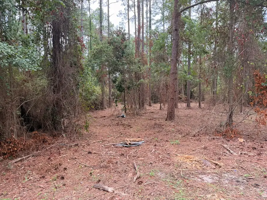 115 Northlake Drive, Sylvester, GA 31791 - #2