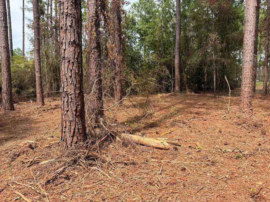 115 Northlake Drive, Sylvester, GA 31791 - #3