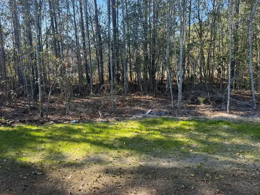 52 Sloans Village Way Se, Moultrie, GA 31768 - #3