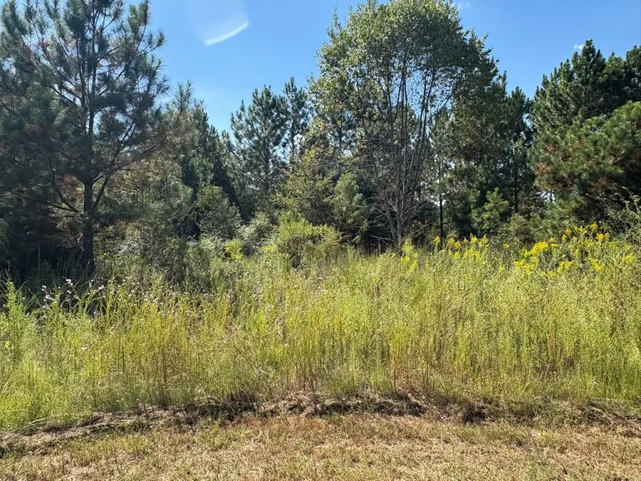 376 West Rd, Poulan, GA 31781 - #3