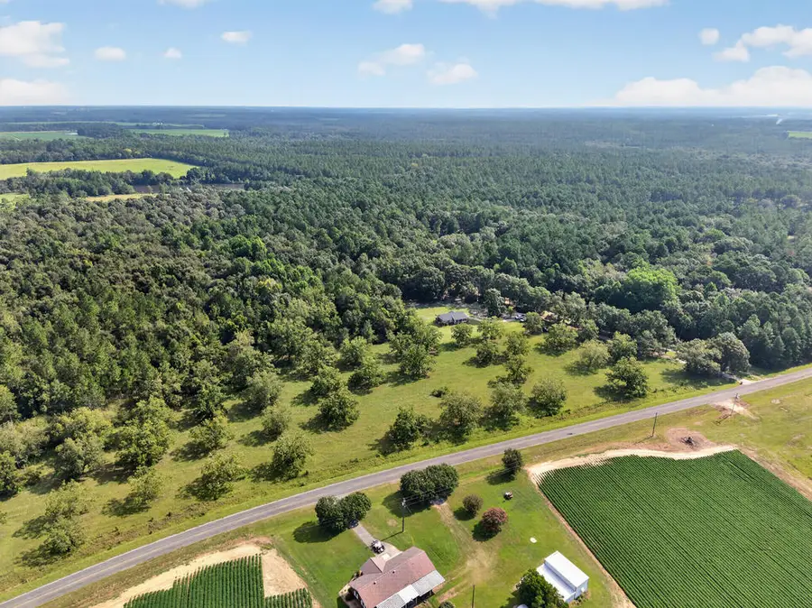 229 Douthit, Sylvester, GA 31791 - #3