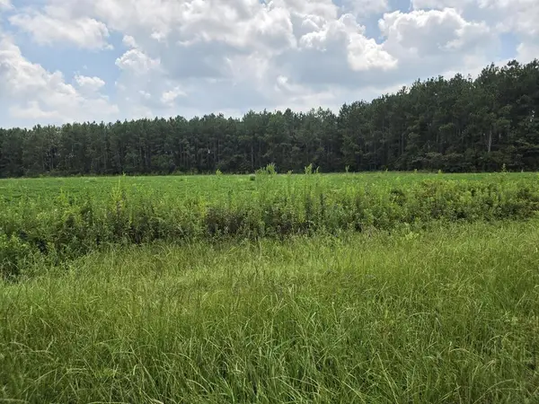 0 Roy And Blanche Hulett Road, Fitzgerald, GA 31750