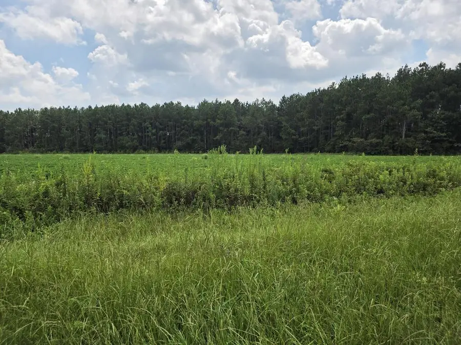 0 Roy And Blanche Hulett Road, Fitzgerald, GA 31750 - #2