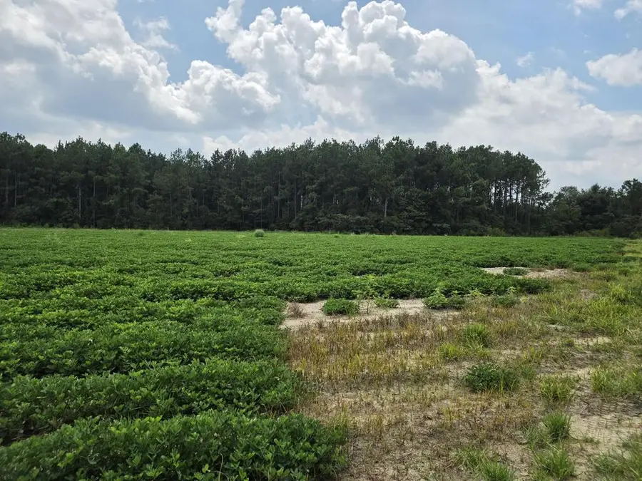 0 Roy And Blanche Hulett Road, Fitzgerald, GA 31750 - #3