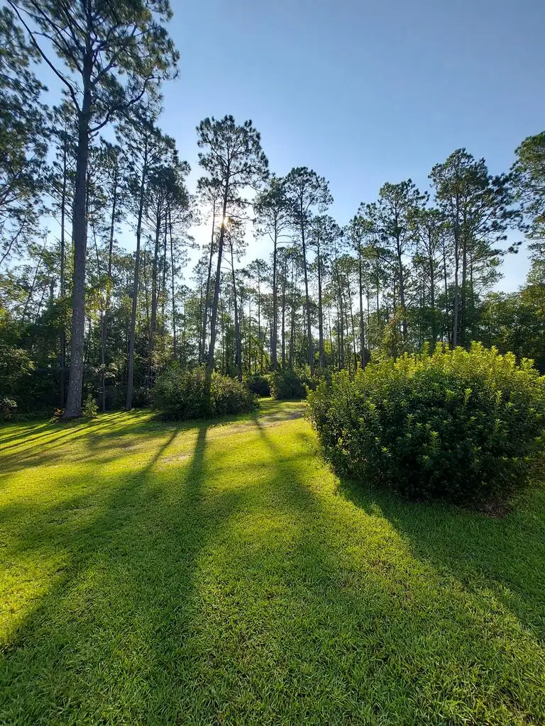 292 Mount Olive Church Rd, Tifton, GA 31794 - #3