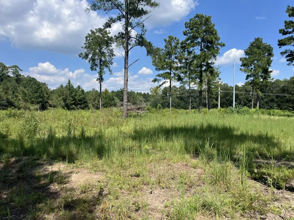 0 Whiddon Mill Rd, Tifton, GA 31793 - #1