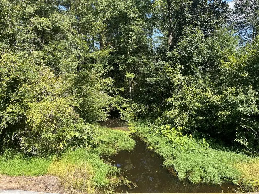 0 Whiddon Mill Rd, Tifton, GA 31793 - #2