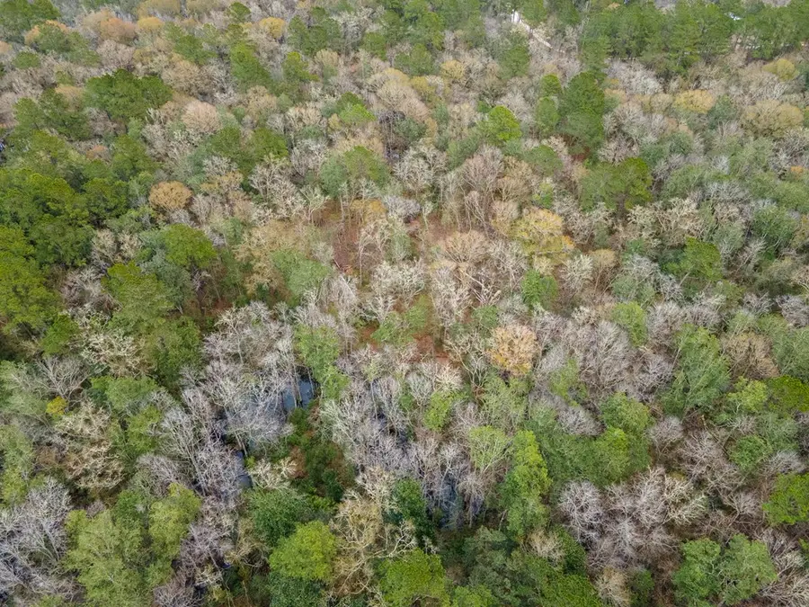 6345 Lake Alapaha Blvd, Naylor, GA 31641 - #2