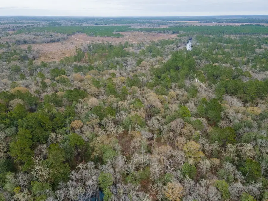 6345 Lake Alapaha Blvd, Naylor, GA 31641 - #3