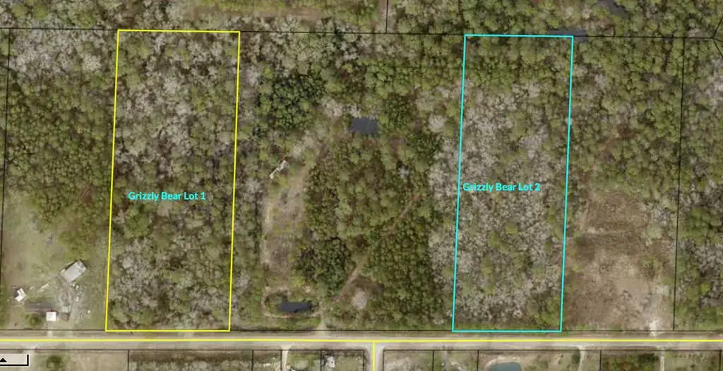 00B Grizzly Bear Rd (lot 2), Norman Park, GA 31771 - #1