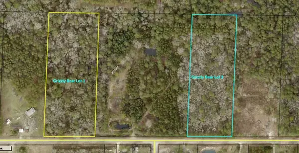 00B Grizzly Bear Rd (lot 2), Norman Park, GA 31771