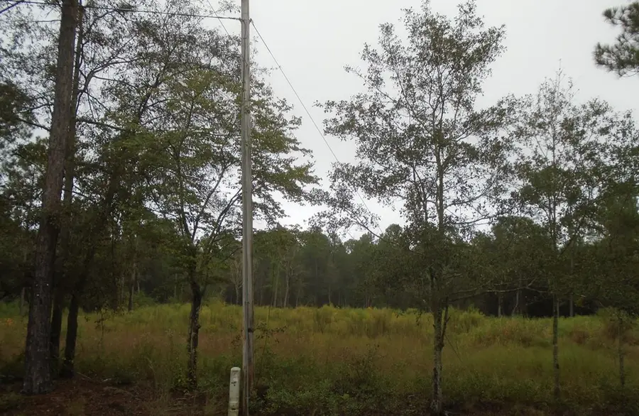 00B Grizzly Bear Rd (lot 2), Norman Park, GA 31771 - #2