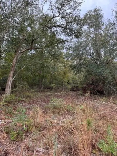 0 N Hickory Grove Road, Valdosta, GA 31606 - #2