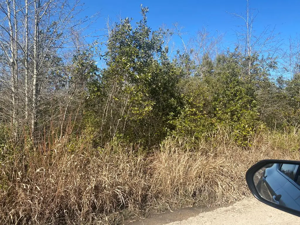 Address Withheld By Seller, Adel Sparks, GA 31602 - #1