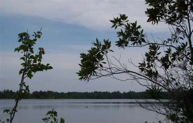 Lot #41 Natures Way, Naylor, GA 31641 - #1