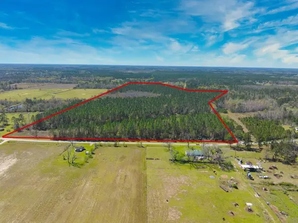 74+ Acre Skipper Bridge Rd, Hahira, GA 31632