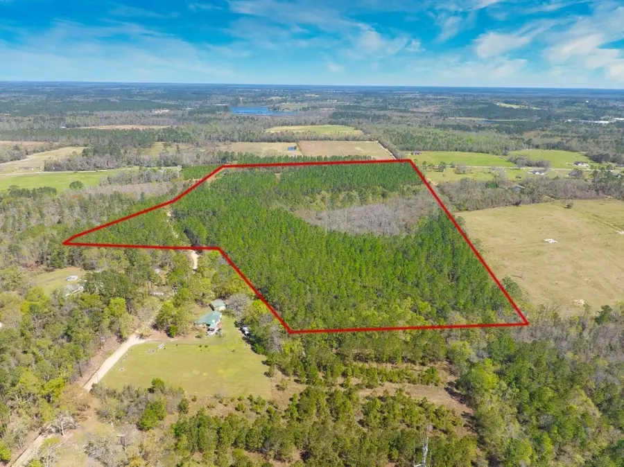 74+ Acre Skipper Bridge Rd, Hahira, GA 31632 - #3