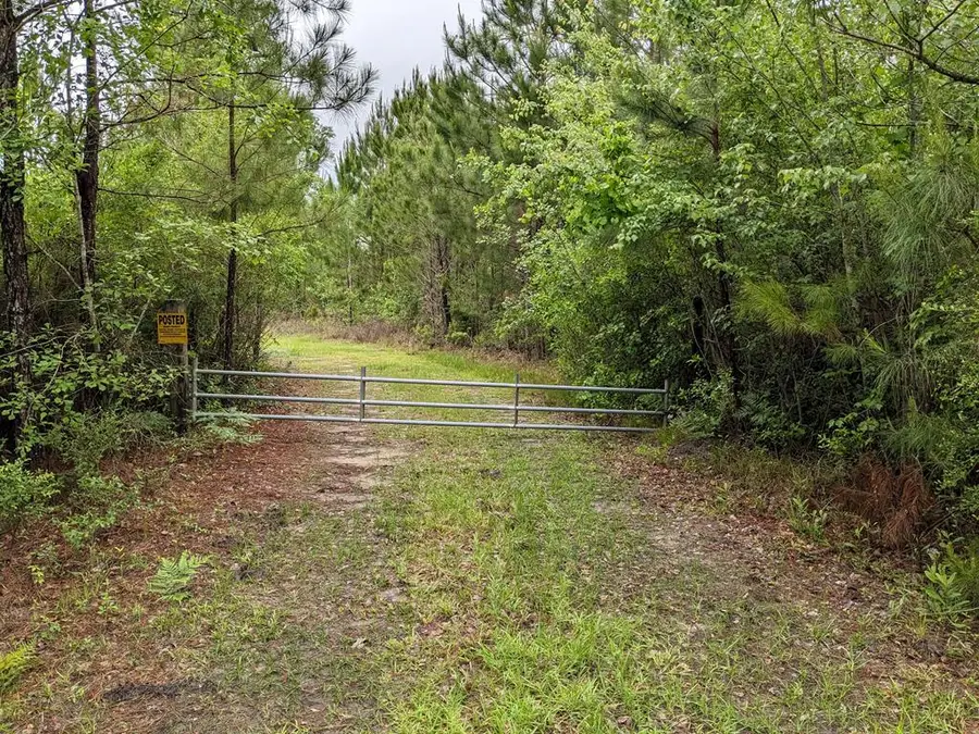 Lot 3 Mcmillan Road, Hahira, GA 31632 - #3