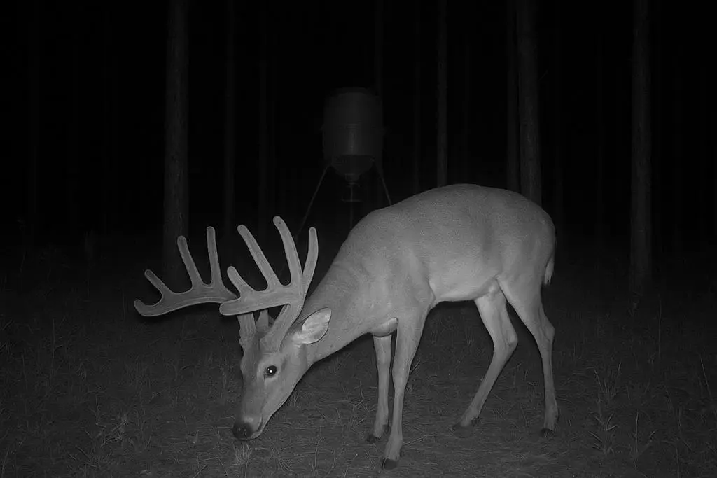 0 Pleasant Grove Church Road, Albany, GA 31707 - #1