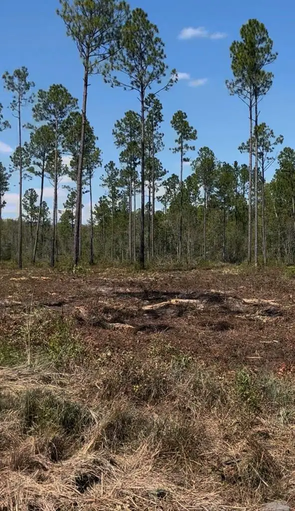 14 Acres E Hwy 37, Lakeland, GA 31635 - #1