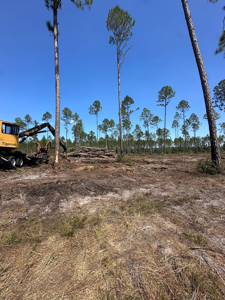 14 Acres E Hwy 37, Lakeland, GA 31635 - #3