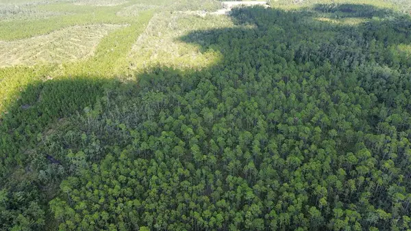 Tract F Bergman Road, Naylor, GA 31641