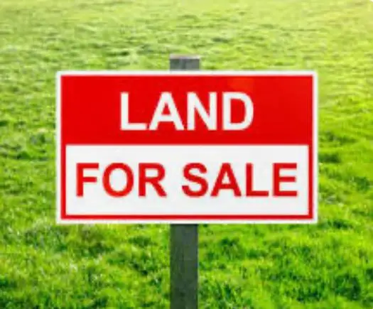 0 Vienna Church Road, Valdosta, GA 31605 - #1