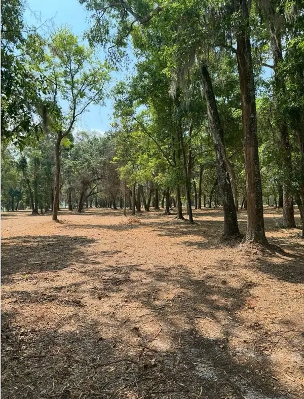 0 Pikes Pond Road, Lake Park, GA 31636