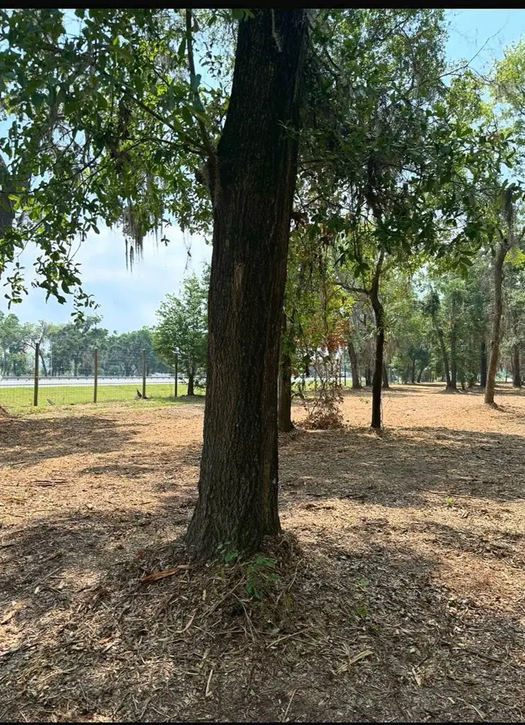 0 Pikes Pond Road, Lake Park, GA 31636 - #2