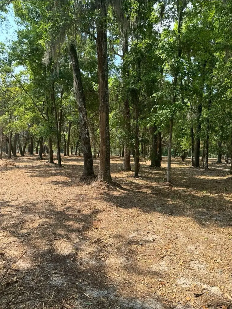 0 Pikes Pond Road, Lake Park, GA 31636 - #3