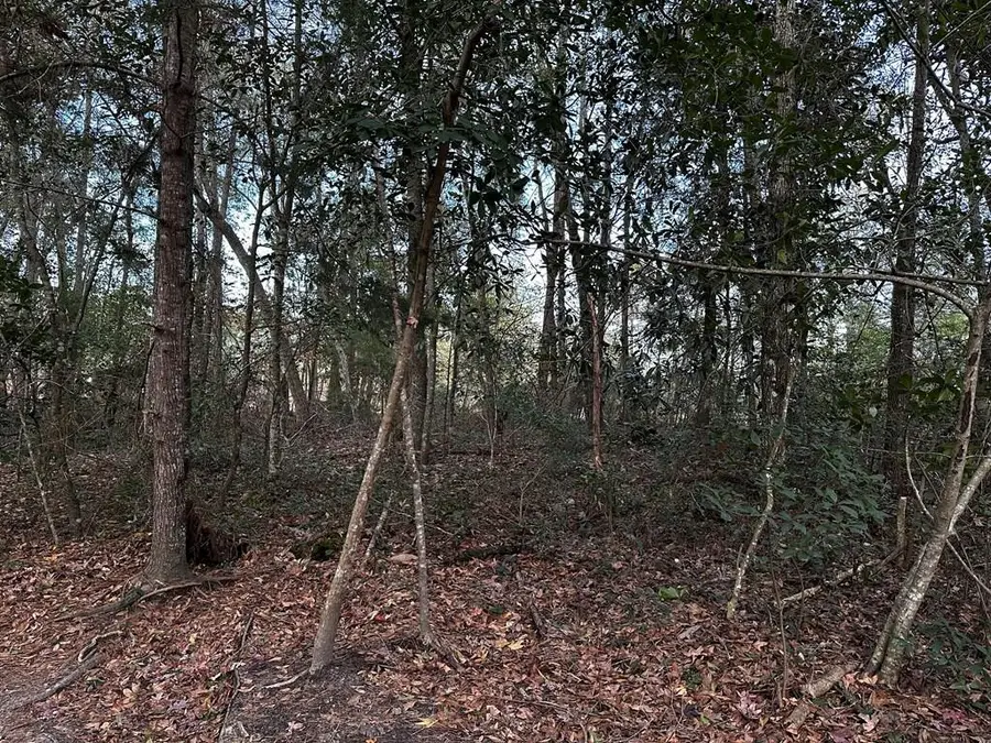 0 Marcia Ave, Thomasville, GA 31792 - #2