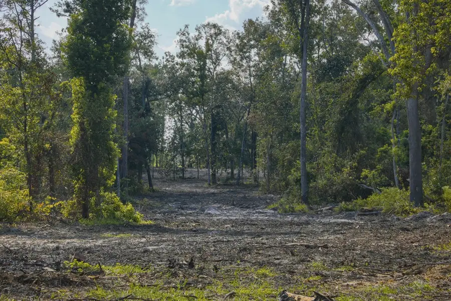 0 Lineberger Rd, Valdosta, GA 31602 - #2