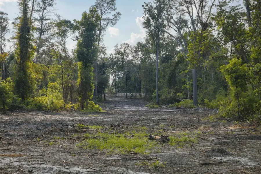 0 Lineberger Rd, Valdosta, GA 31602 - #3