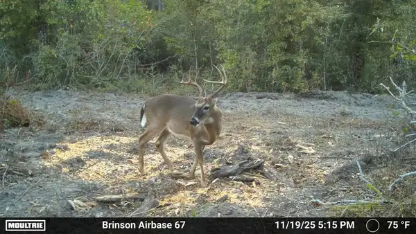 0 Brinson Airbase Rd., Brinson, GA 39825