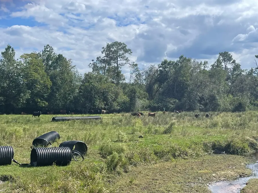 0 N Street Extension, Ray City, GA 31645 - #2